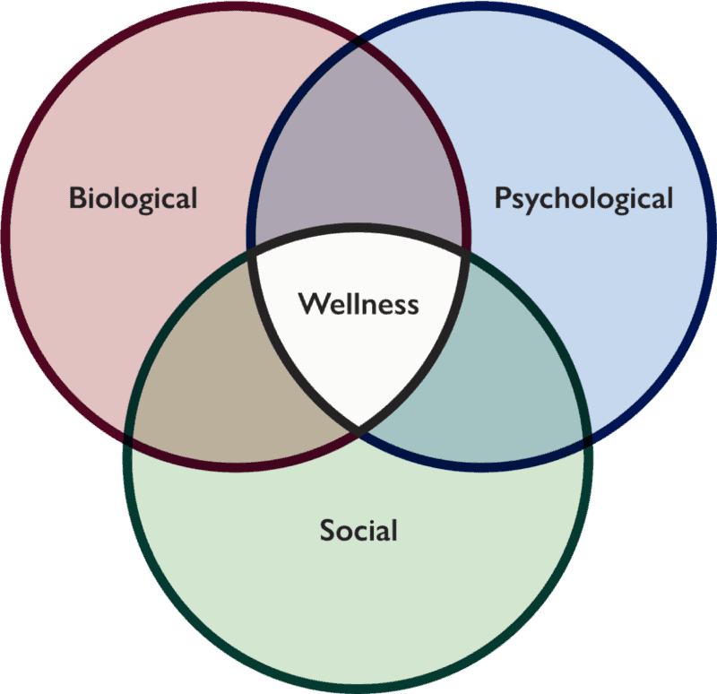 venn diagram of biopsychosocial