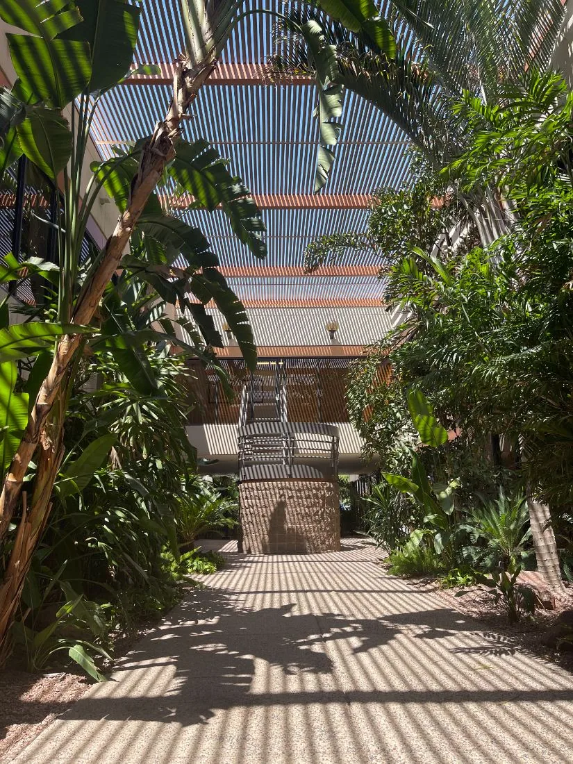 Shaded courtyard at the MHCA Mesa clinic